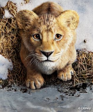 Mufasa: Erster Trailer zum neuen „Der König der Löwen“-Film