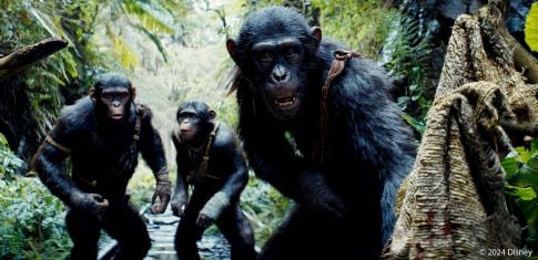 Planet der Affen: New Kingdom – Finaler Trailer zum Kinostart des Action-Spektakels