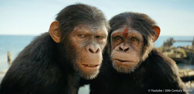 Planet Der Affen: New Kingdom – Langer Trailer vom Superbowl